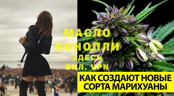 соль ск Абинск