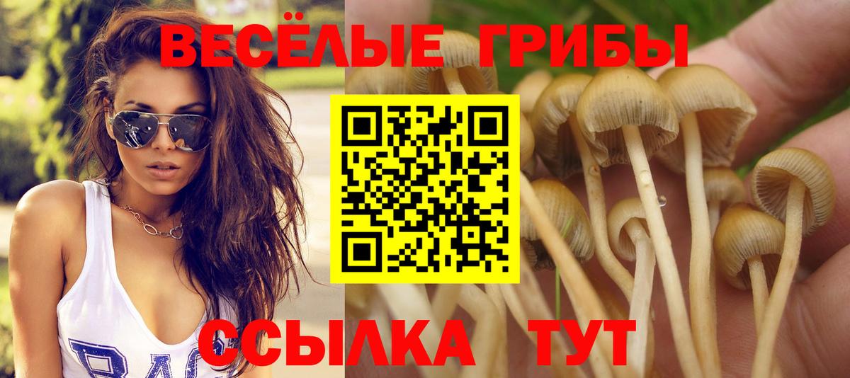 где купить наркоту  Псилоцибиновые грибы Psilocybine cubensis  Урус-Мартан  Вход с VPN  Галлюциногенные грибы мухоморы 